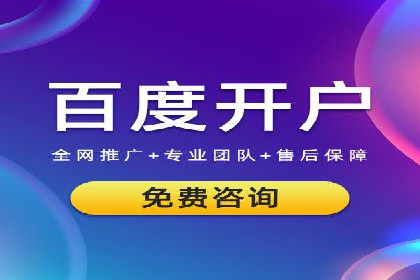 百度竞价广告的投放策略与成功案例分析